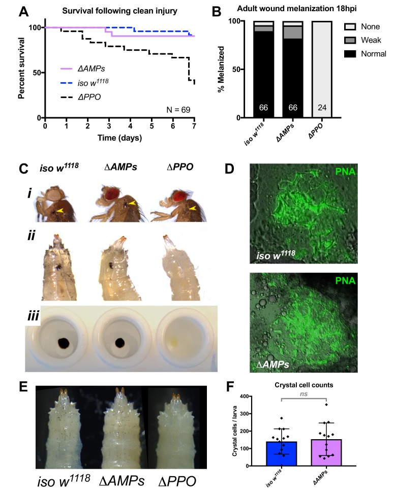 Figure 1—figure supplement 2.