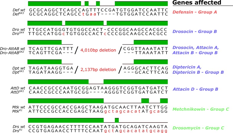 Figure 1—figure supplement 1.