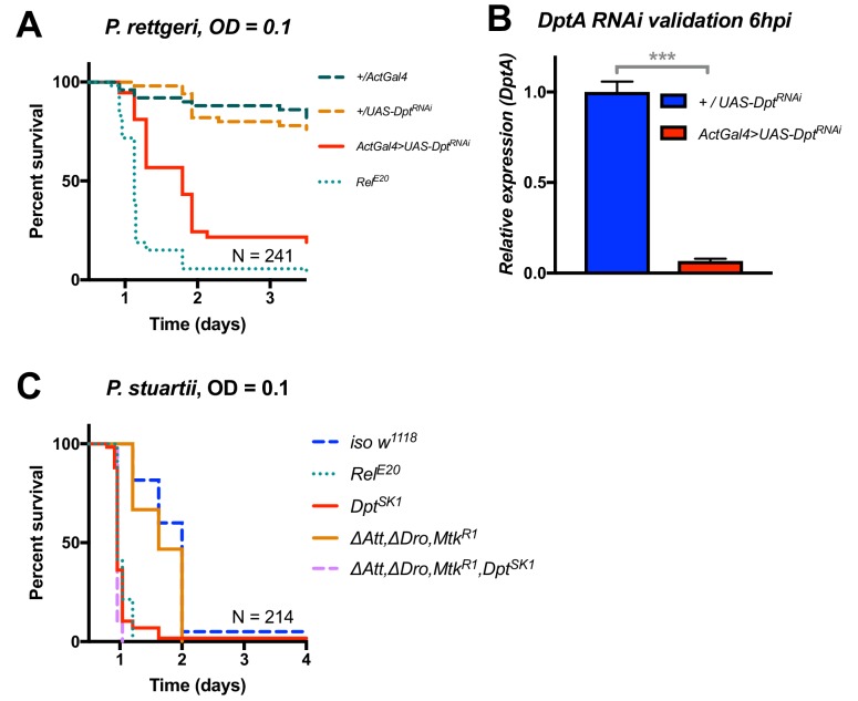 Figure 5—figure supplement 1.