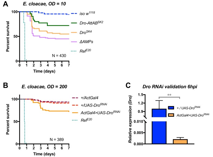 Figure 6—figure supplement 1.