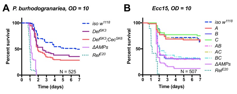 Figure 4—figure supplement 1.