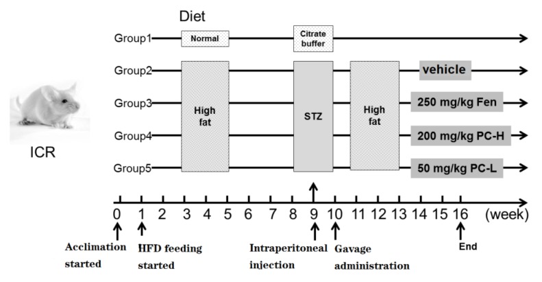 Figure 11