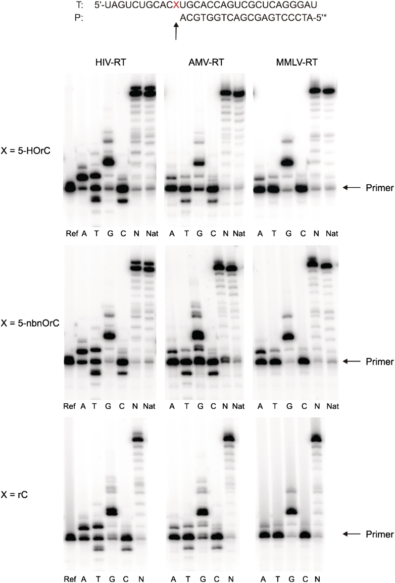 Figure 5.