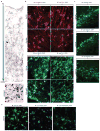 Extended Data Figure 3