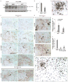 Extended Data Figure 5