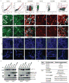 Extended Data Figure 1