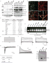 Extended Data Figure 2