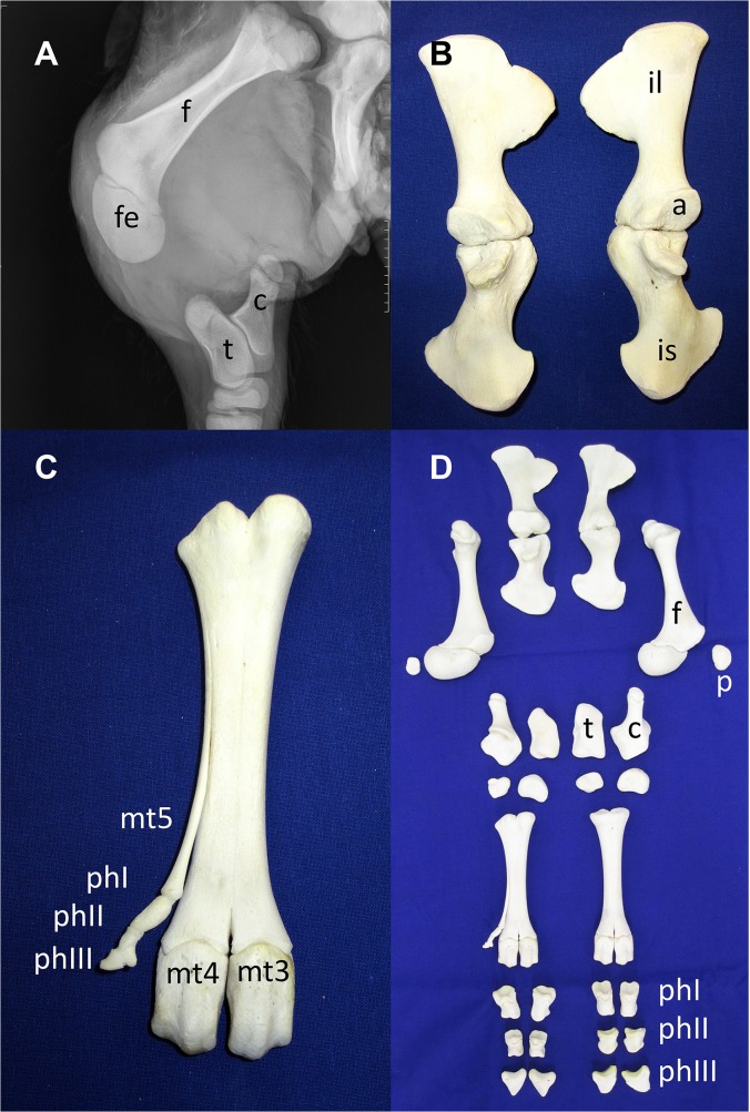 Fig 2