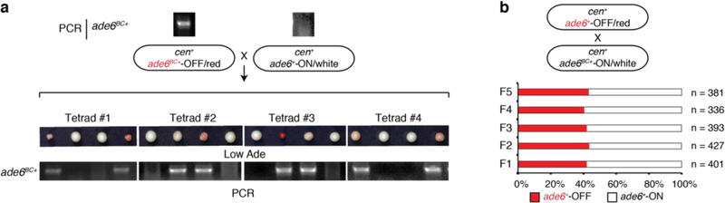 Extended Data Figure 4 |