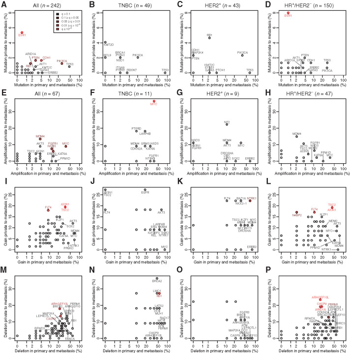 Figure 3. Comparison of the truncal aberrations with those private to the metastasis. All plots are on paired samples, each point representing the percentage of tumors with an aberration common between the primary tumor and the metastasis versus the percentage of tumors with an aberration found only in the metastasis. Mutations are shown (A, all subtypes; B, TNBC; C, HER2+; D, HR+/HER2−) as well as CN amplifications (normalize CN > 4; E, all subtypes; F, TNBC; G, HER2+; H, HR+/HER2−), gains (normalized CN > 1.5; I, all subtypes; J, TNBC; K, HER2+; L, HR+/HER2−) and deletions (normalized CN < 1.5; M, all subtypes; N, TNBC; O, HER2+; P, HR+/HER2−). The points are colored in function of their q-values, which assess whether a given aberration is more often private to the mutation than expected by the play of chance, corrected for multiple testing by panel.