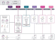 Figure 1. Study design. Illustration of the design of the AURORA molecular screening program including the baseline and longitudinal collections of samples as well as the clinical data. ctDNA, circulating tumor DNA.