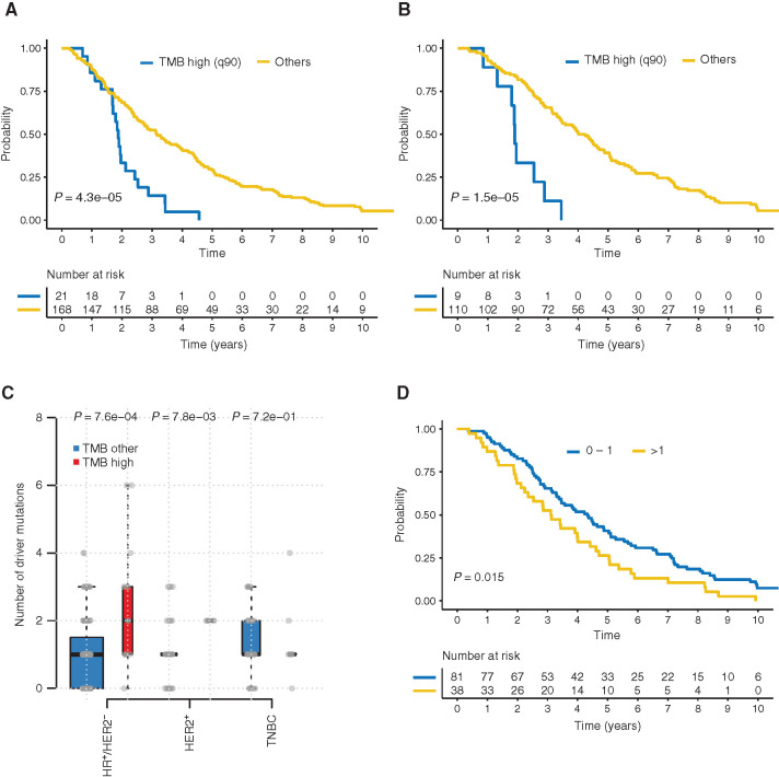 Figure 6. TMB and patient outcome. A, TTR by TMB in all subtypes primary samples. B, TTR by TMB in HR+/HER2− primary samples. C, TMB and number of drivers correlation HR+/HER2−. D, TTR by number of drivers HR+/HER2− primary samples.