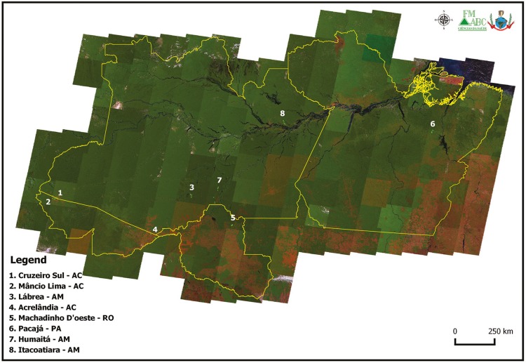 Fig. 1