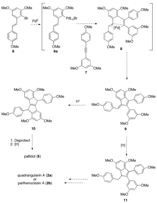 SCHEME 2