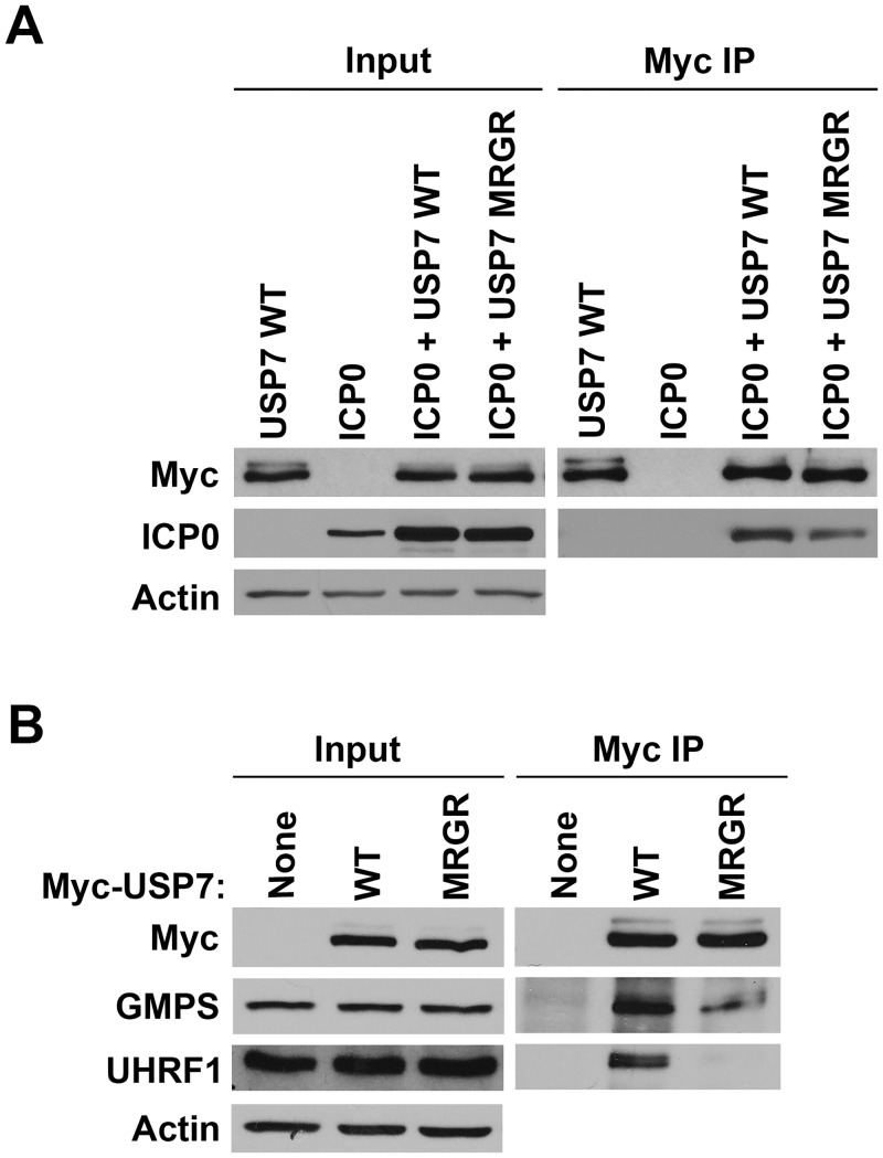 Fig 5