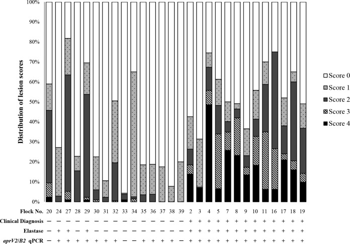 FIG 2