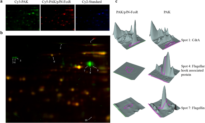 Figure 3