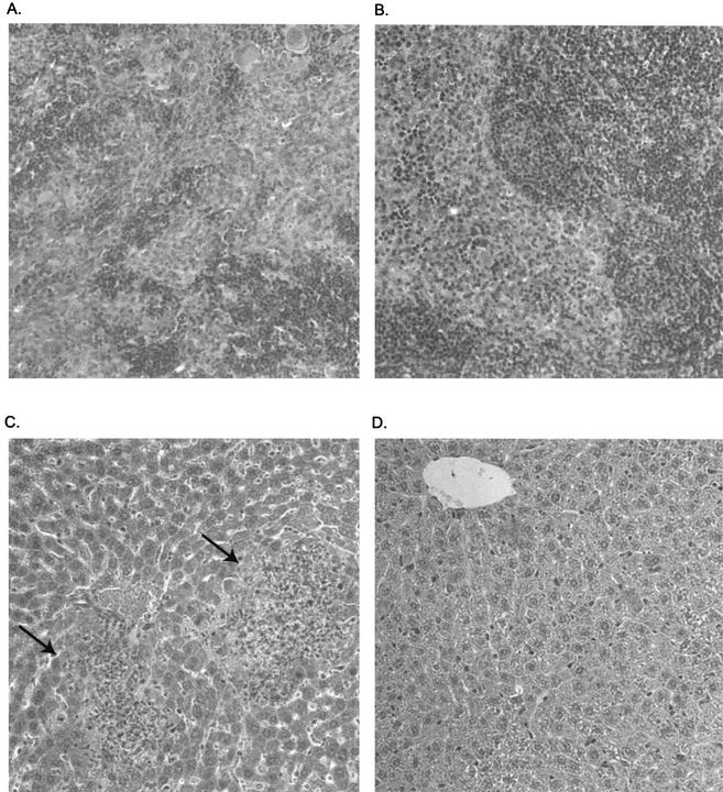 FIG. 5.