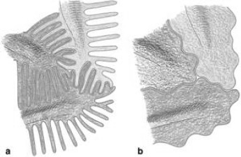 Figure 3.5.