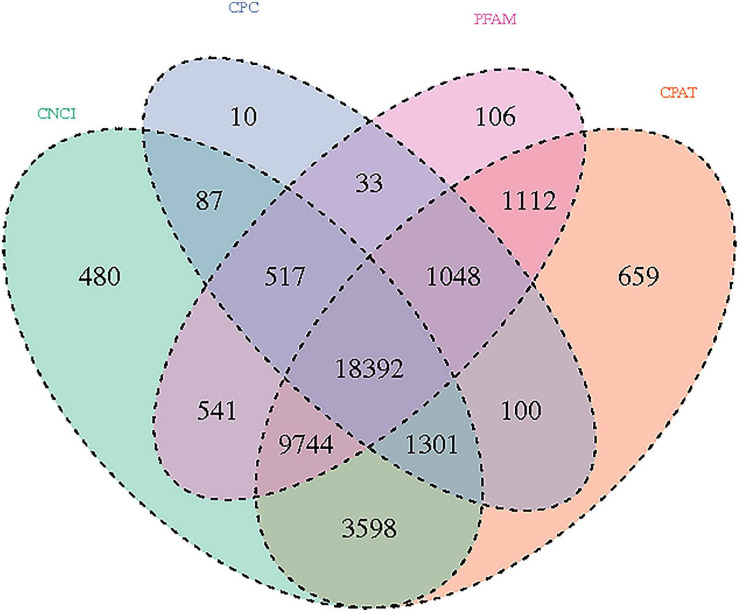 FIGURE 3