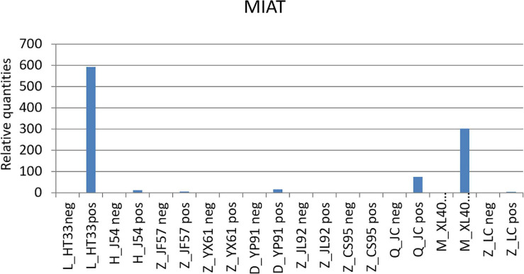 FIGURE 12