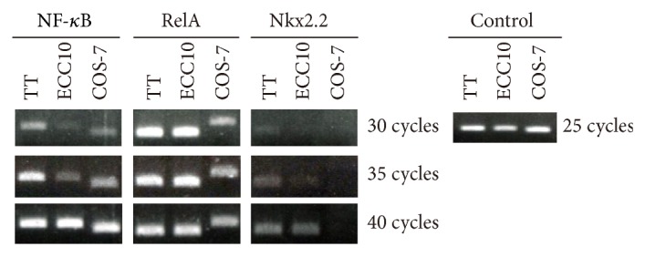 Figure 9