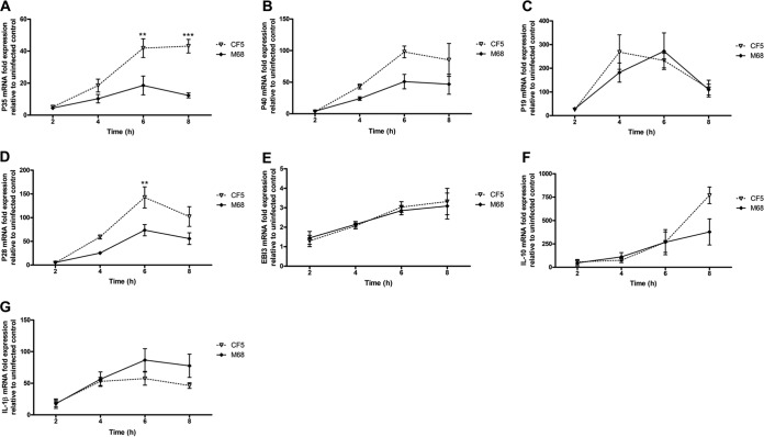 FIG 2