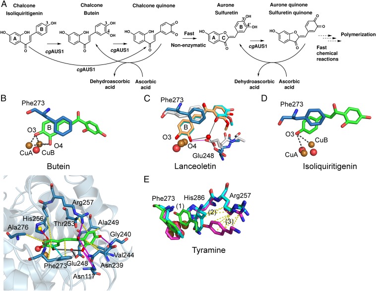 Fig. 4.