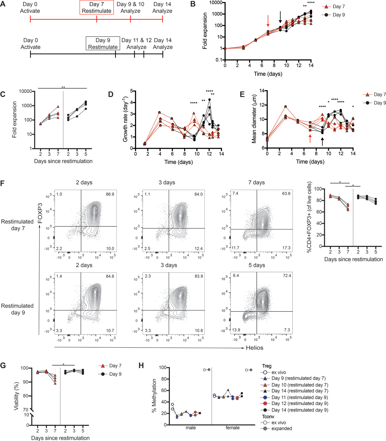 Figure 6: