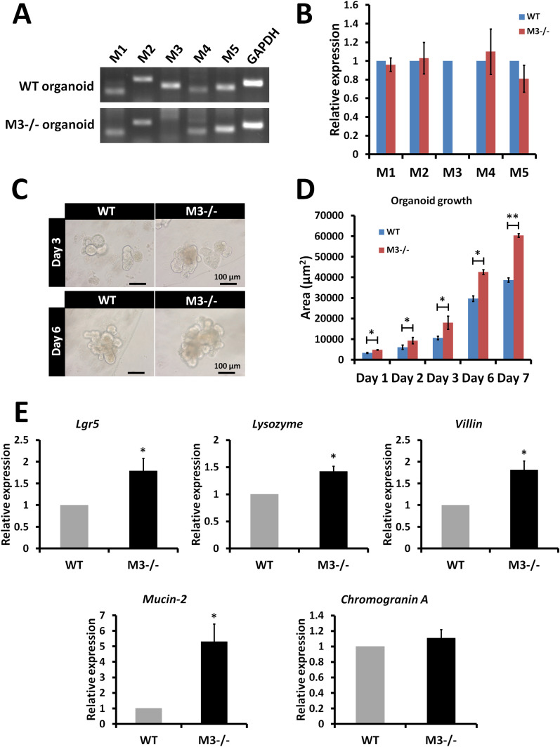 Figure 3.