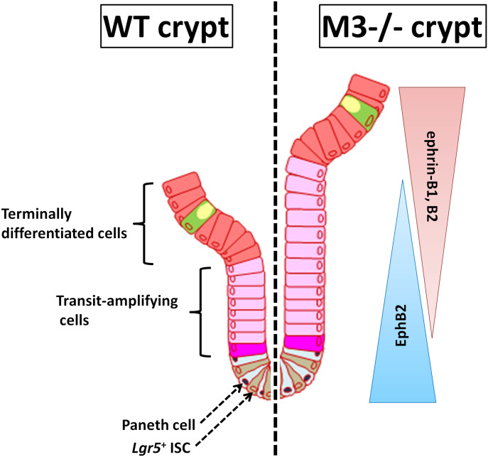 Figure 9.