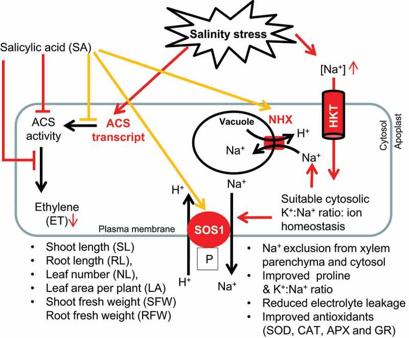 Figure 5.