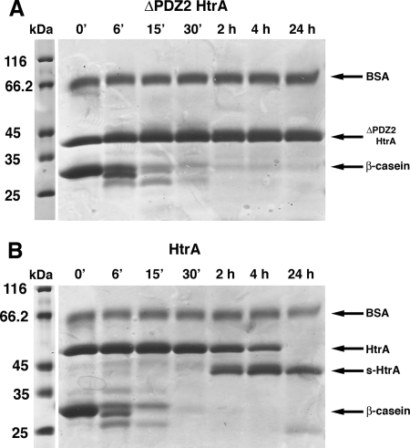 FIG. 5.