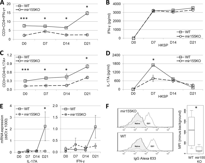 FIG 6