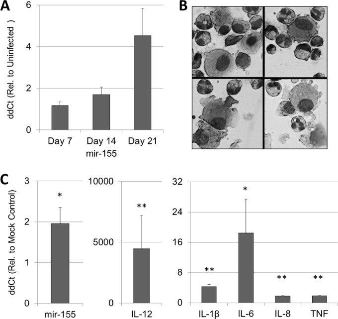 FIG 2