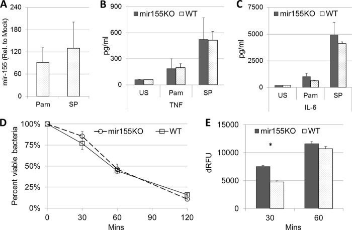 FIG 4