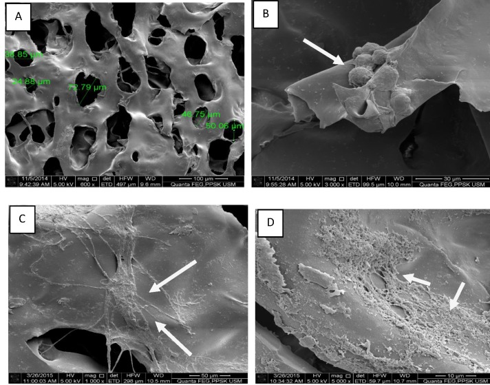 Figure 5.