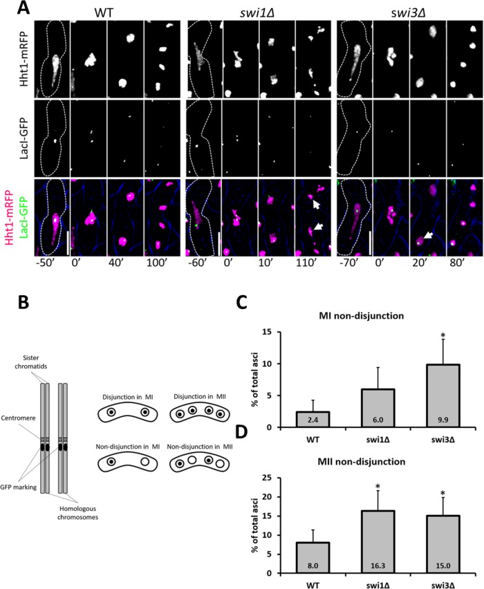 FIGURE 5: