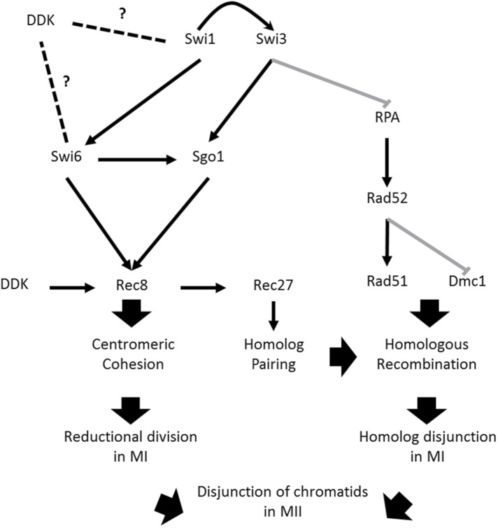 FIGURE 10: