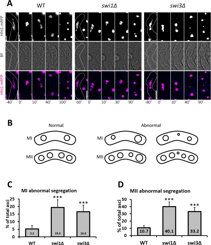 FIGURE 3: