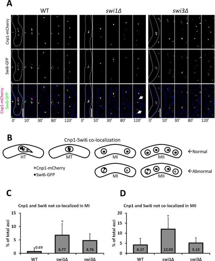 FIGURE 9: