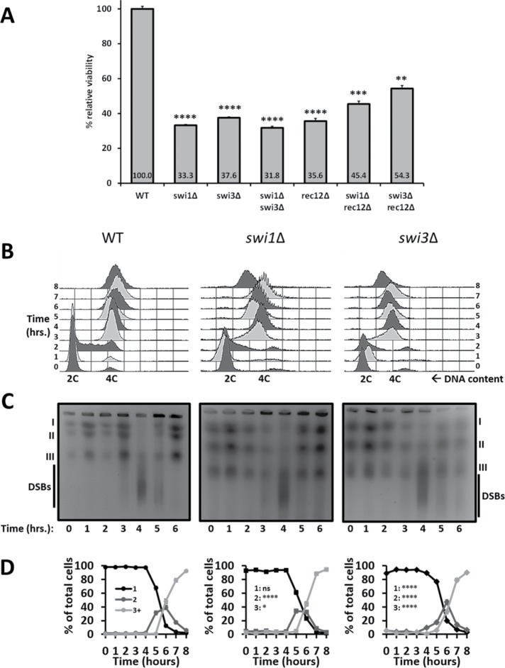 FIGURE 1: