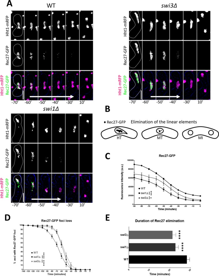 FIGURE 6: