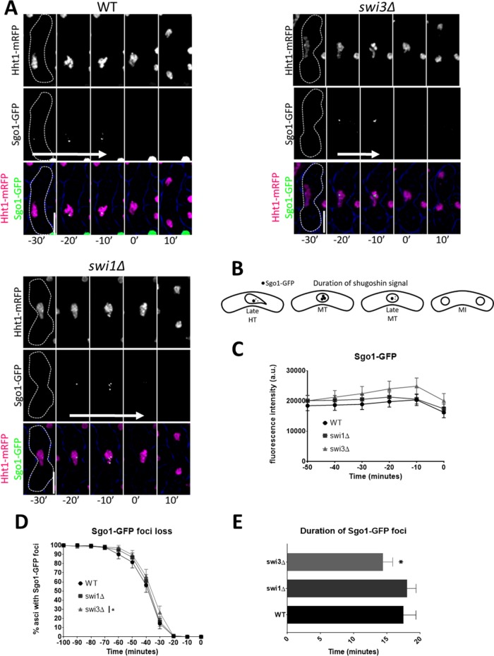 FIGURE 7: