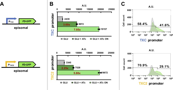 Fig 3