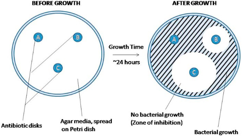 Figure 3