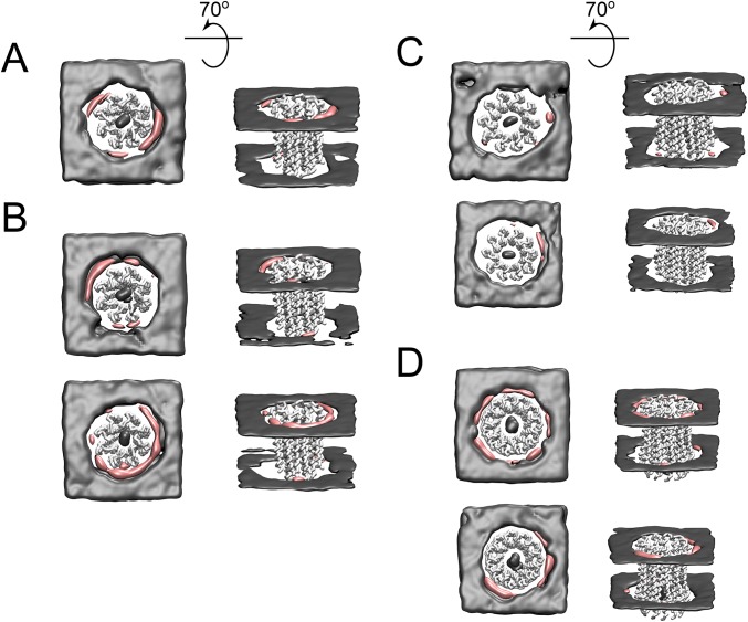 Fig. S11.