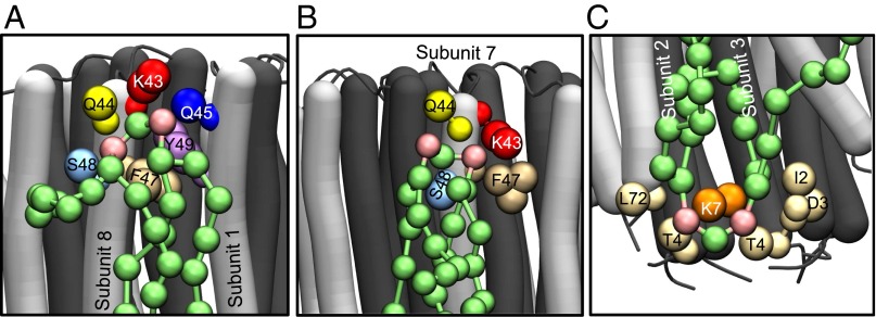 Fig. 3.