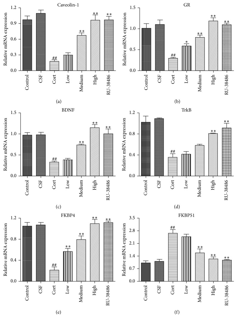 Figure 5