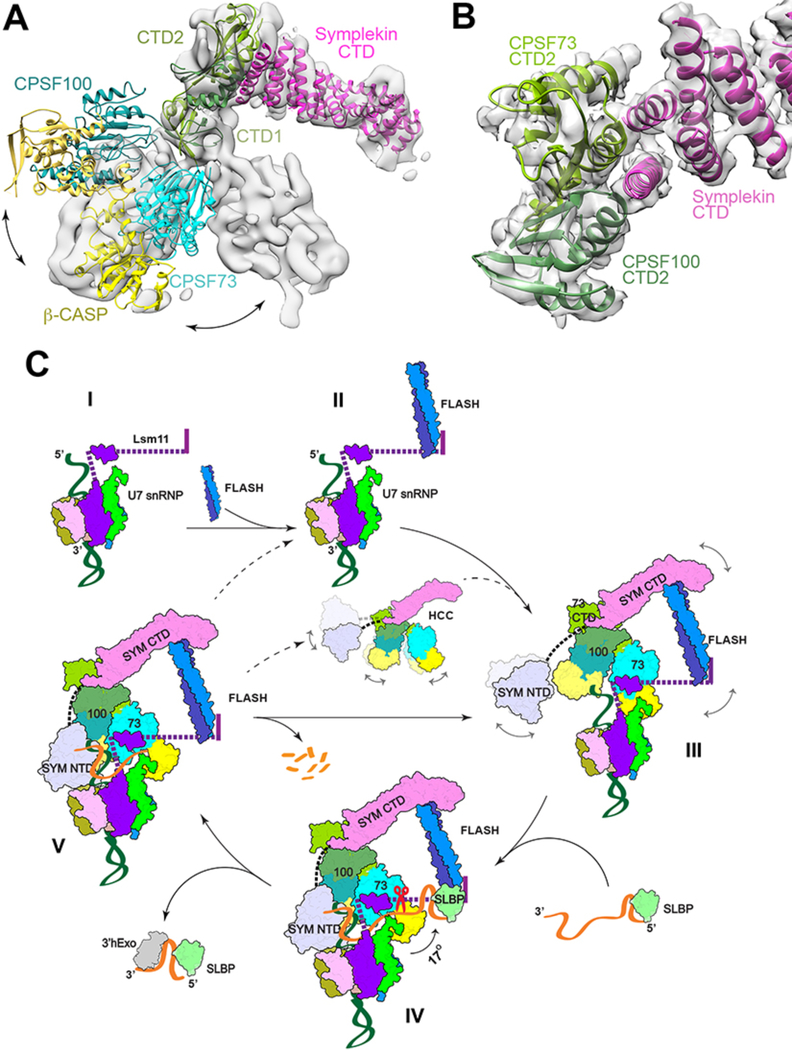 Figure 4.